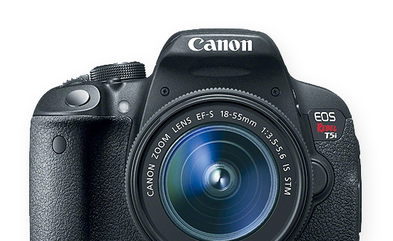 Canon EOS 5D Mark IV and Sections with Sidebar – Image 3